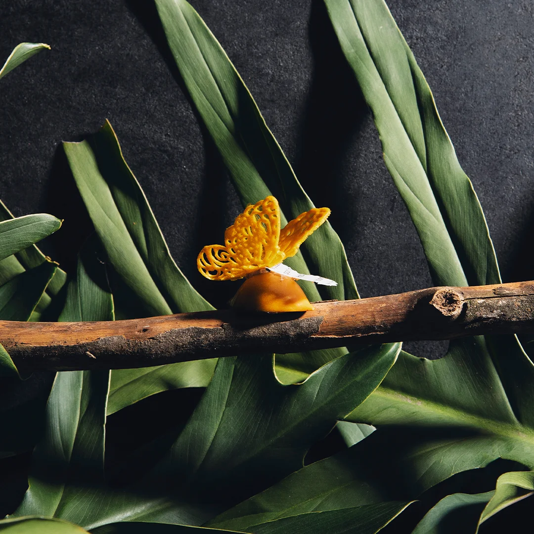 Multisensory signature dish at Elcielo Miami, Michelin-starred Colombian fine dining