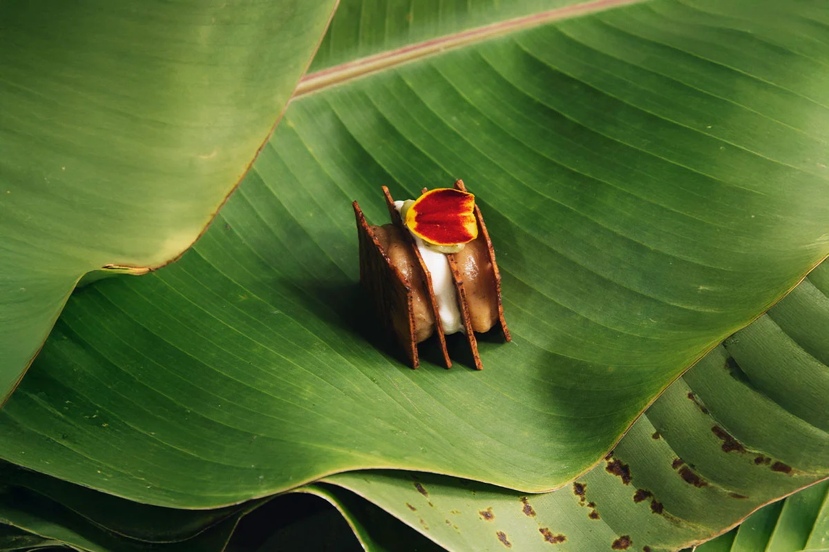Native Colombian ingredients in haute cuisine tasting menu gastronomic biodiversity